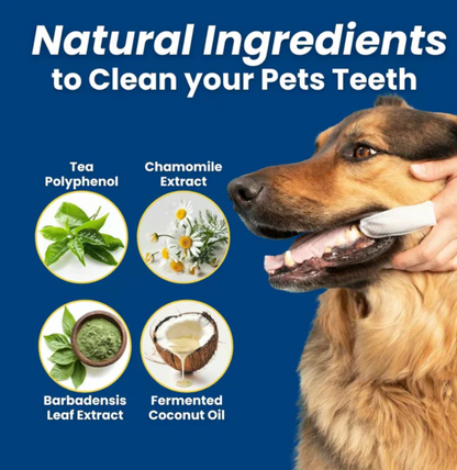 Fresh Chomp™ Pet Dental Finger Wipes