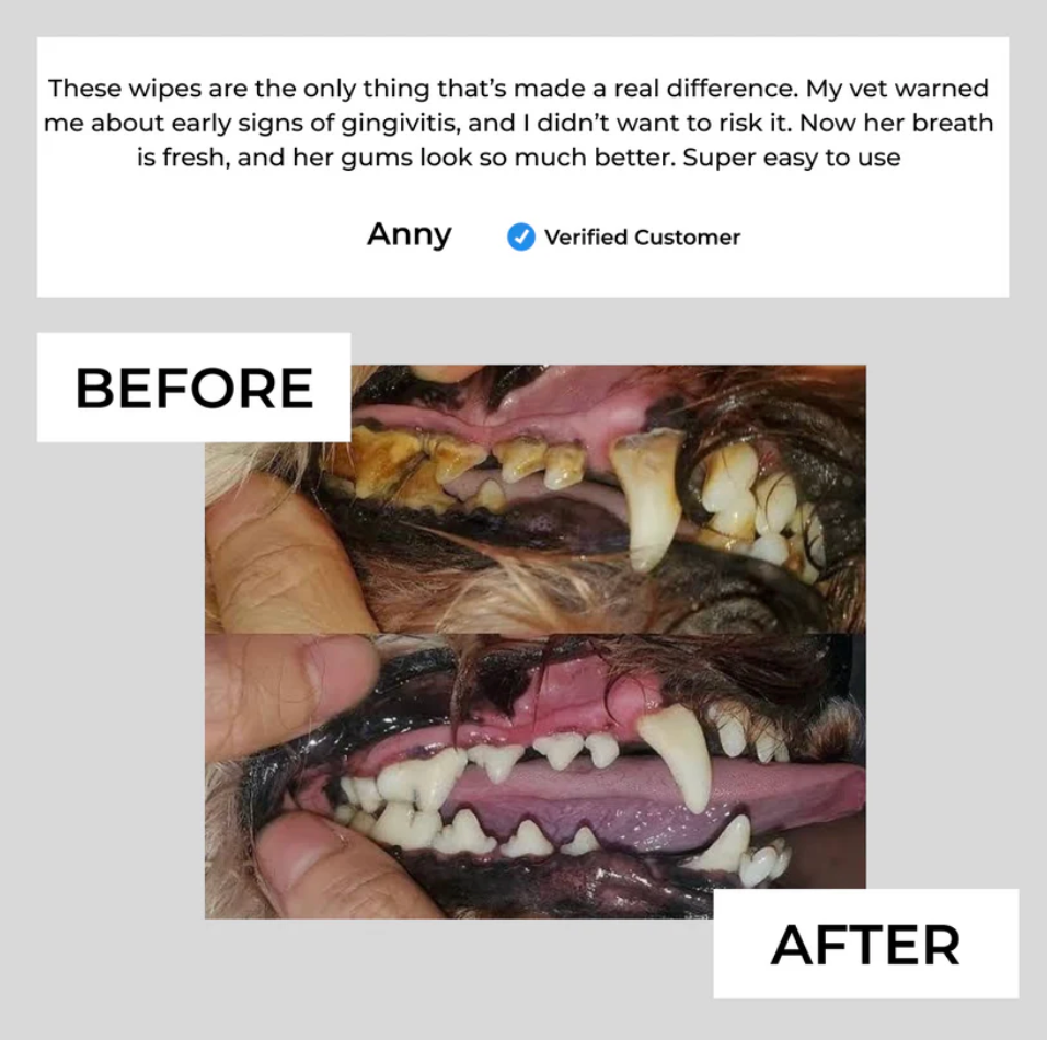 Fresh Chomp™ Pet Dental Finger Wipes