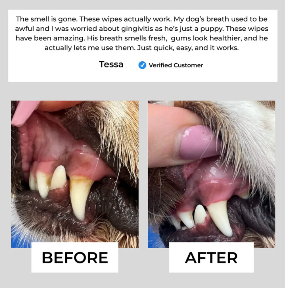 Fresh Chomp™ Pet Dental Finger Wipes