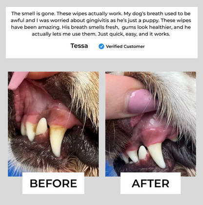 Fresh Chomp™ Pet Dental Finger Wipes